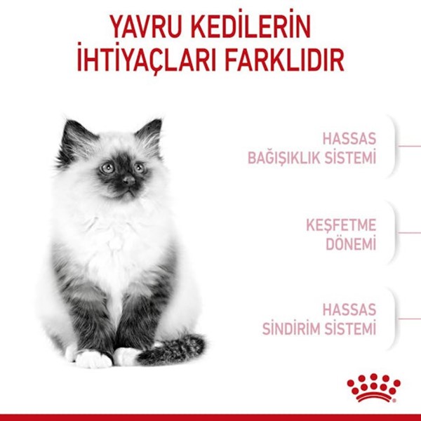 Royal Canin Kitten Yavru Kedi Maması 2 KG