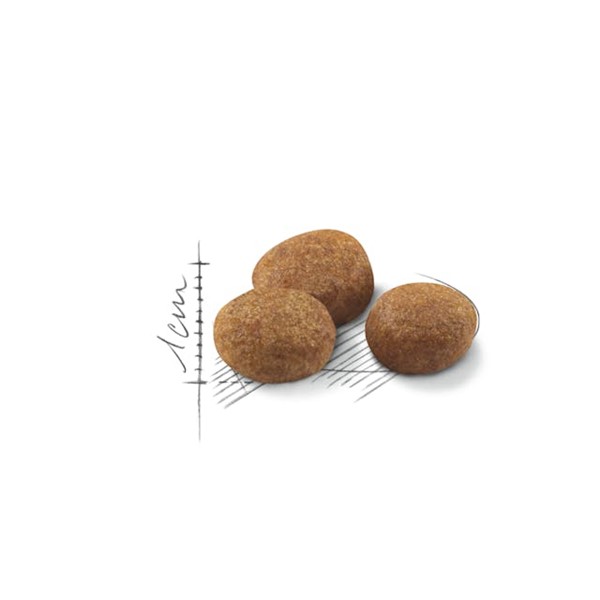 Royal Canin FHN Sterilised +7 Yaş Kedi Maması 3.5 Kg