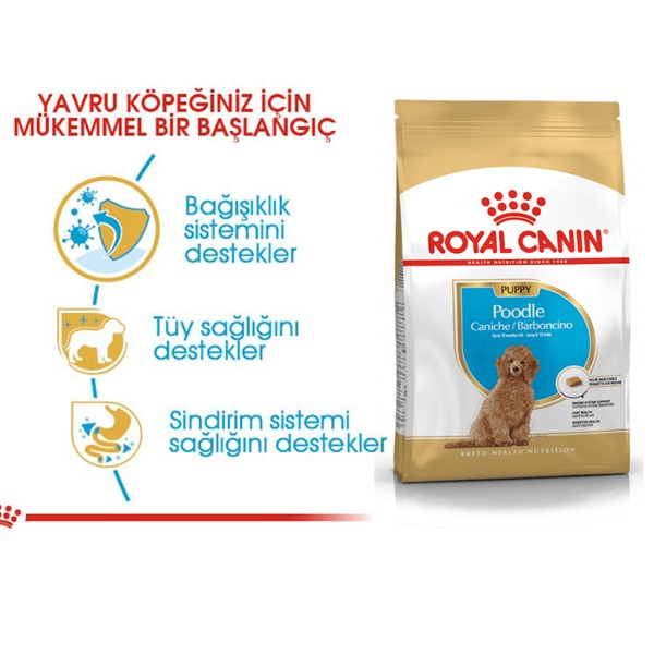 Royal Canin Poodle Yavru Köpek Maması, 3 Kg