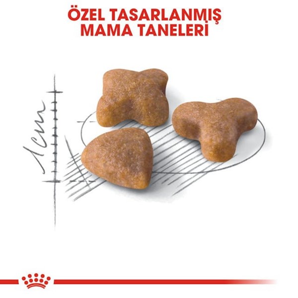 Royal Canin Sensible 33 Kedi Maması, 2 Kg