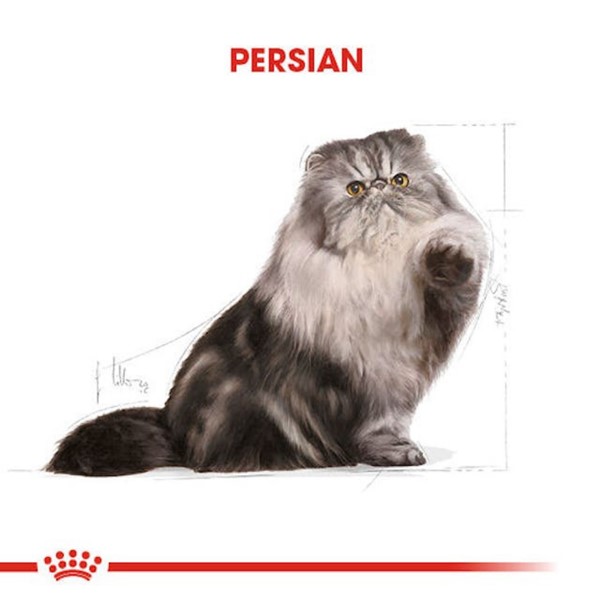 Royal Canin Persian Yetişkin Kedi Maması, 10 Kg