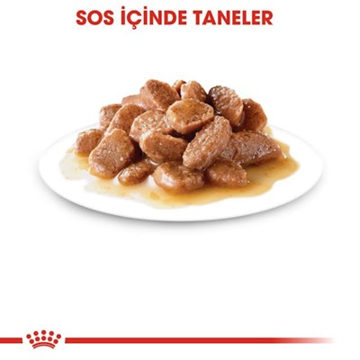Royal Canin Ageing +12 Gravy Yaşlı Kediler İçin Yaş Mama 85g