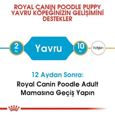 Royal Canin Poodle Yavru Köpek Maması, 3 Kg