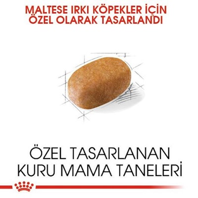 Royal Canin Maltese Yetişkin Kuru Köpek Maması 1.5 Kg