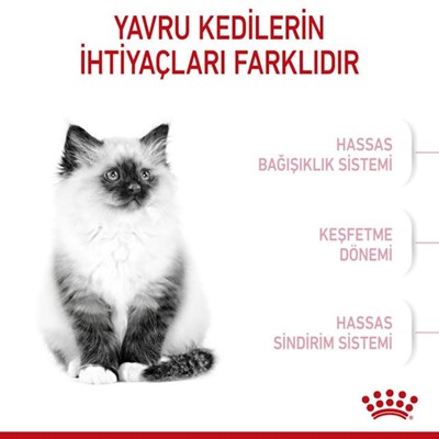 Royal Canin Kitten Yavru Kedi Maması 2 KG