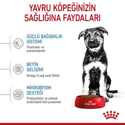 Royal Canin Maxi Puppy 15Kg