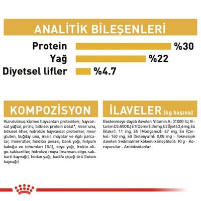 Royal Canin Persian Yetişkin Kedi Maması, 10 Kg