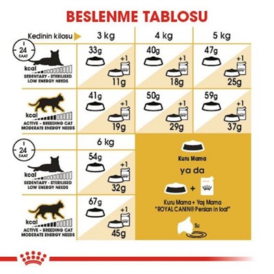 Royal Canin Persian Yetişkin Kedi Maması, 10 Kg