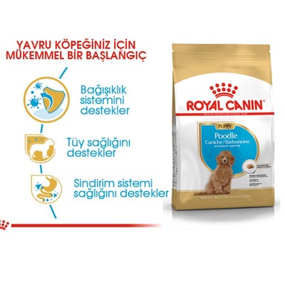 Royal Canin Poodle Yavru Köpek Maması, 3 Kg