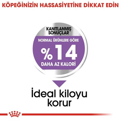 Royal Canin Ccn Mini Sterilised 3 Kg Yetişkin Köpek Maması
