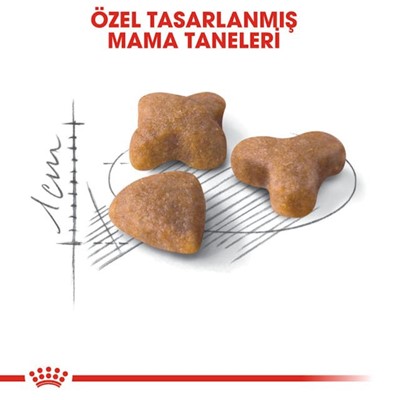 Royal Canin Sensible 33 Kedi Maması, 2 Kg