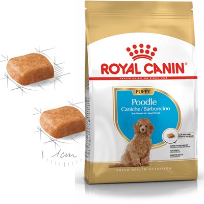 Royal Canin Poodle Yavru Köpek Maması, 3 Kg