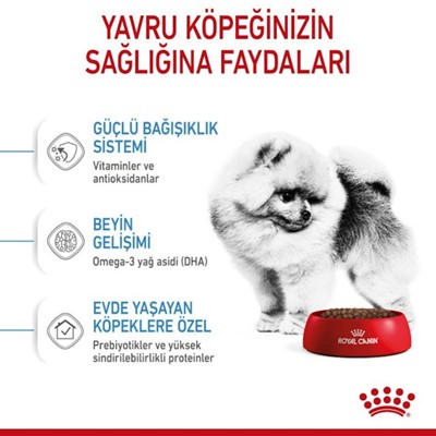 Royal Canin Mini İndoor Puppy Köpek Maması 1,5 kg