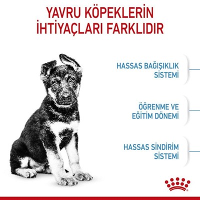 Royal Canin Maxi Puppy 15Kg